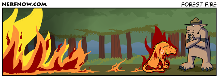 Forest Fire